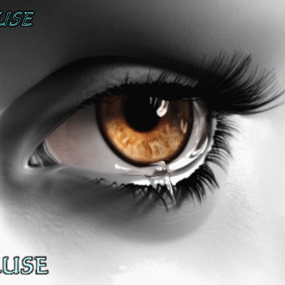 blog en pause
